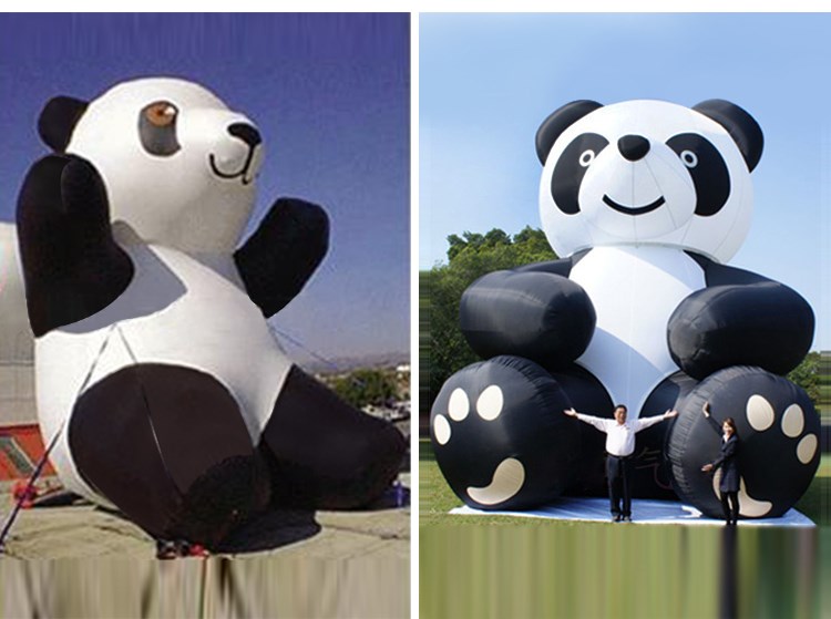 毕节国宝熊猫